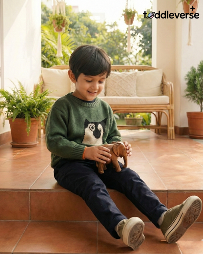 Boys' Peek-a-Boo Pocket Knit Pullover