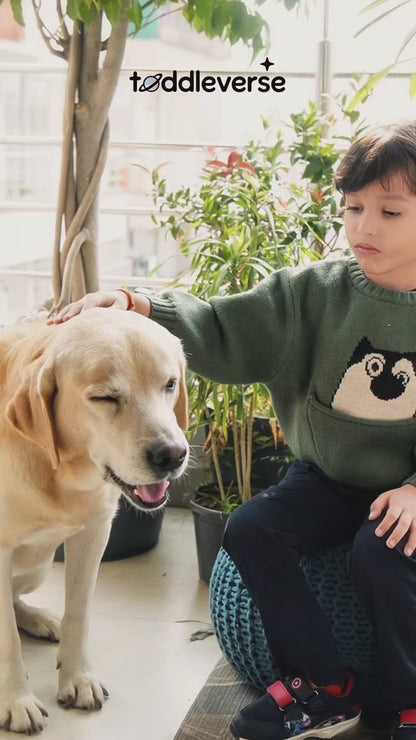 Boys' Peek-a-Boo Pocket Knit Pullover